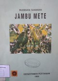 Budidaya Tanaman Jambu Mete