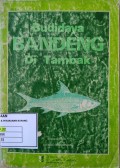 Budidaya Bandeng di Tambak